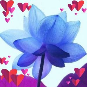 Meet your Posher, Lourdes